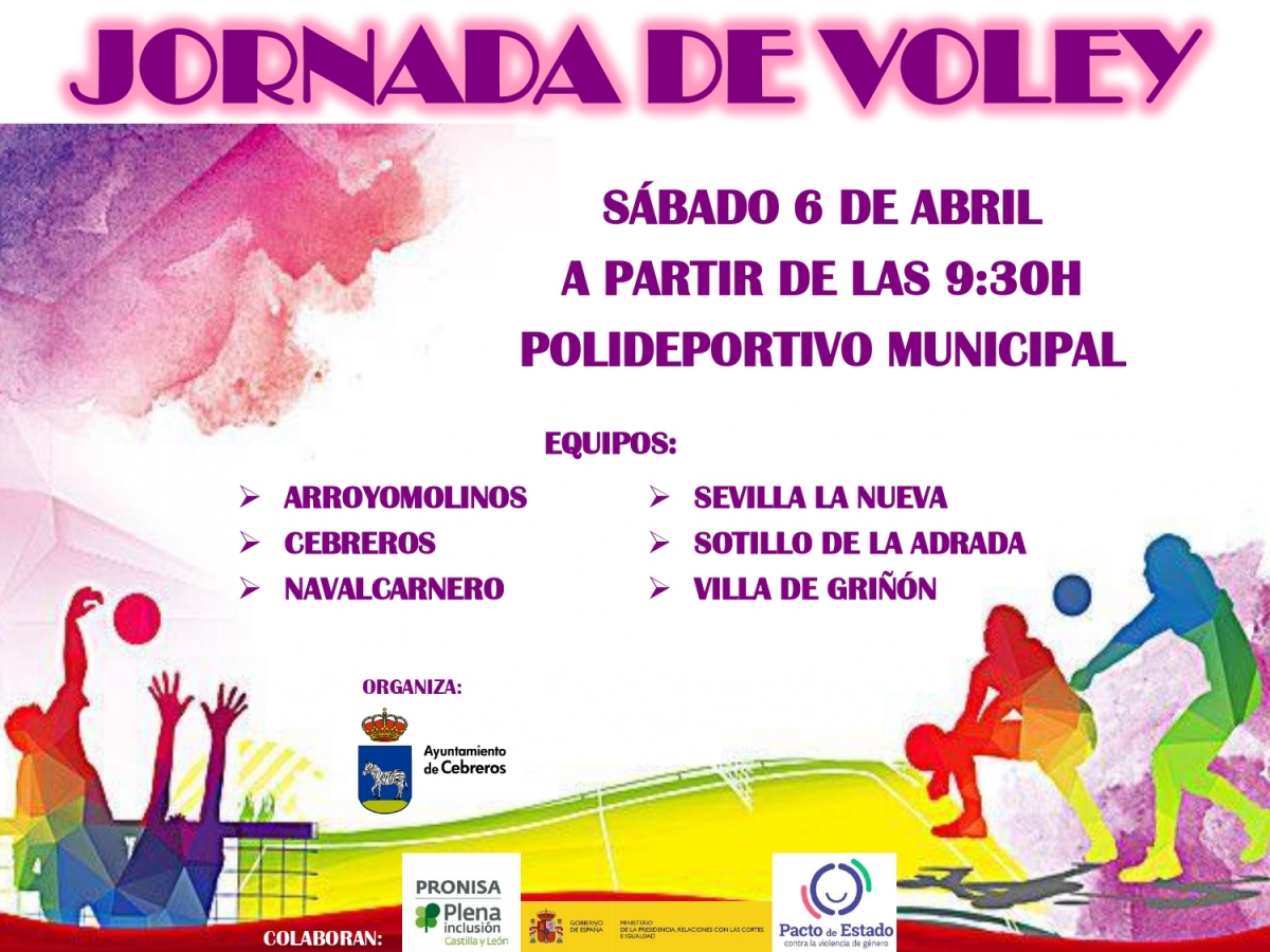 JORNADA DE VOLEY
