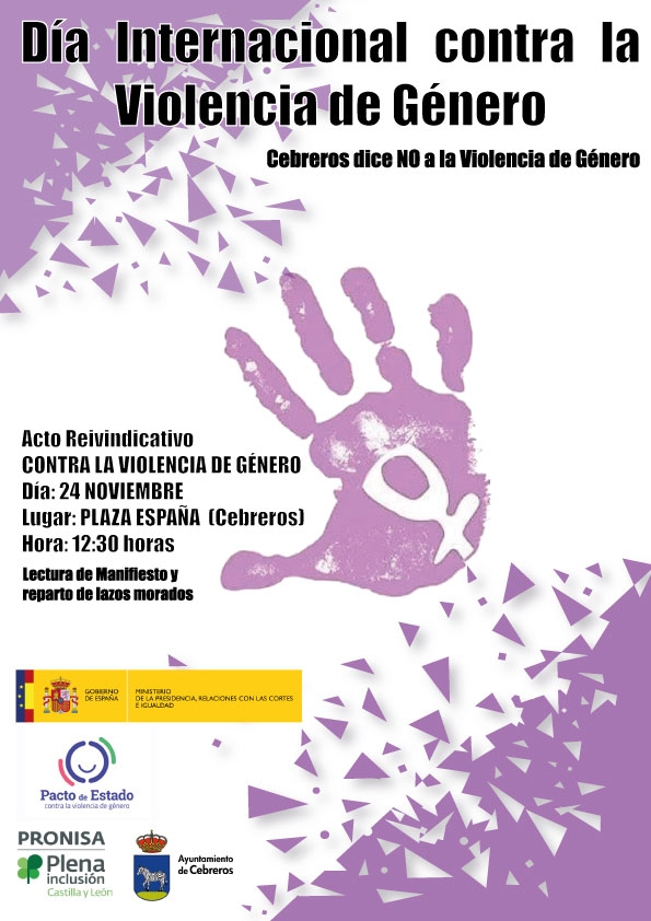 DÍA CONTRA LA VIOLENCIA DE GÉNERO 2019