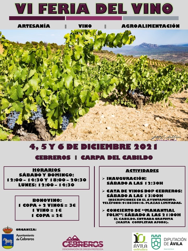 VI FERIA DEL VINO