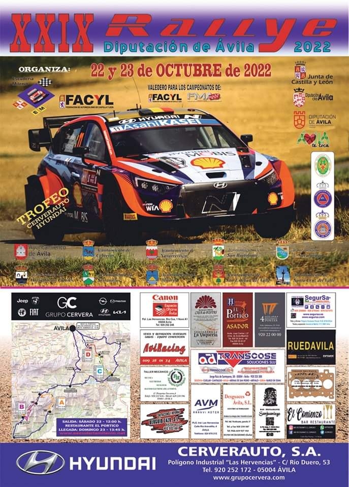 XXIX RALLYE DIPUTACIÓN DE ÁVILA