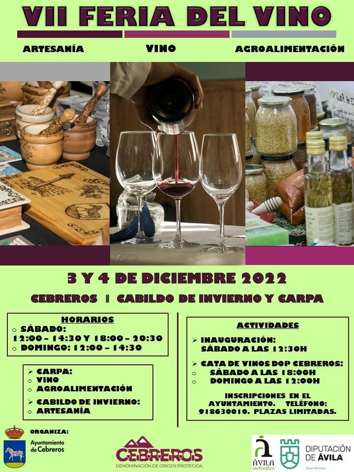 VII FERIA DEL VINO