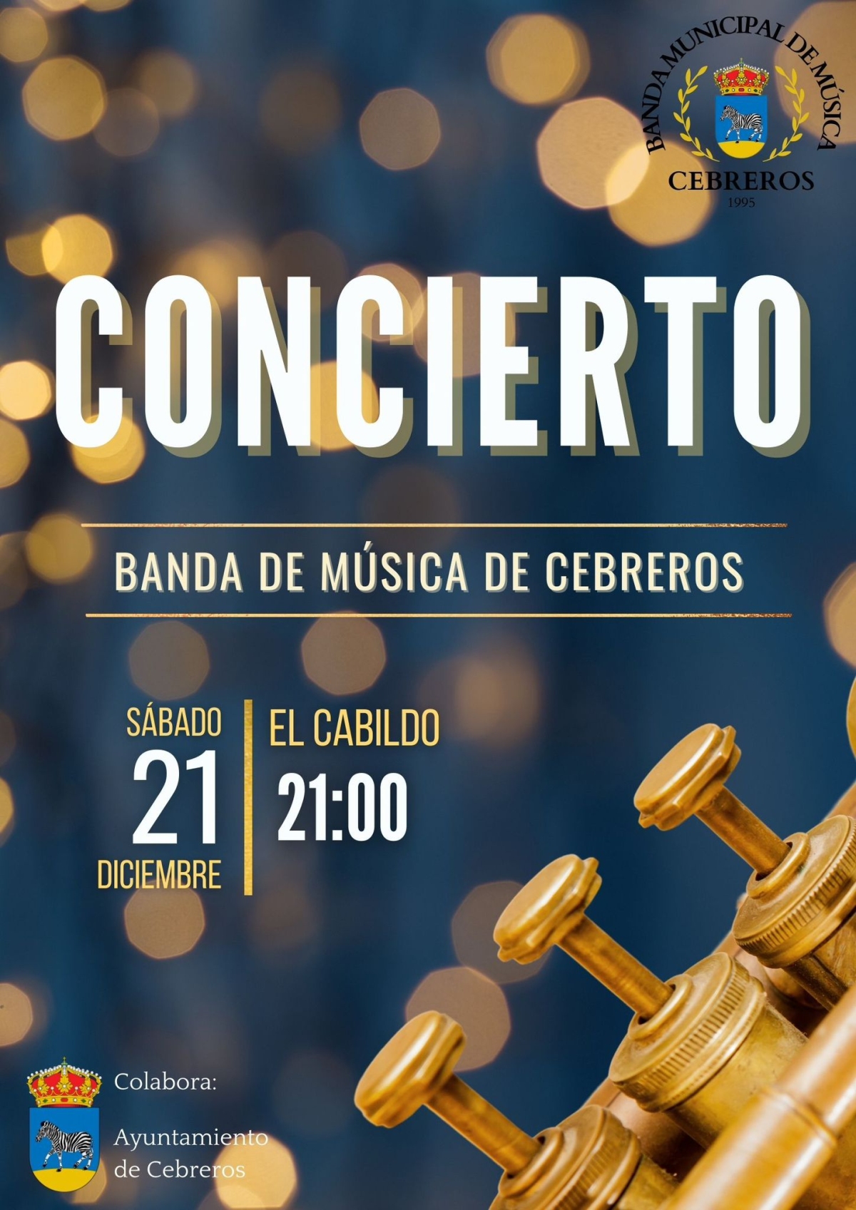CONCIERTO NAVIDAD BANDA DE MÚSICA 2024