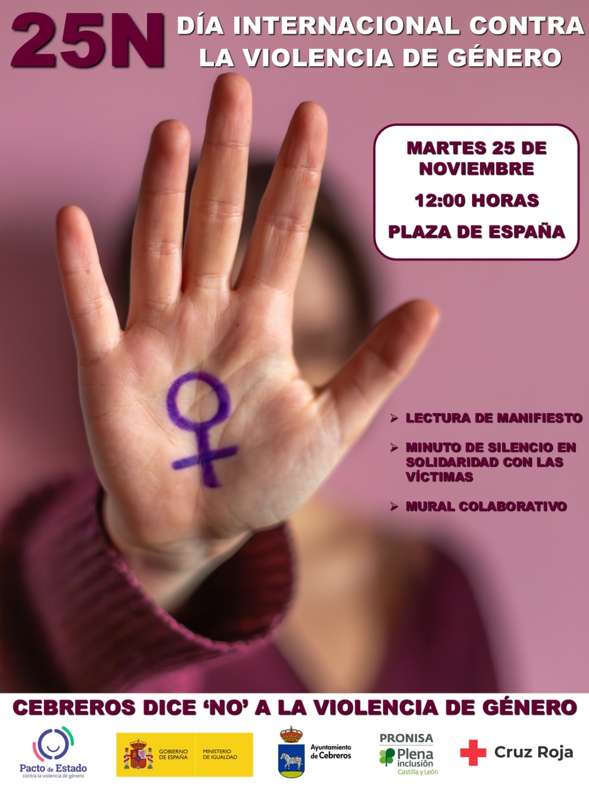 25N: DÍA INTERNACIONAL CONTRA LA VIOLENCIA DE GÉNERO