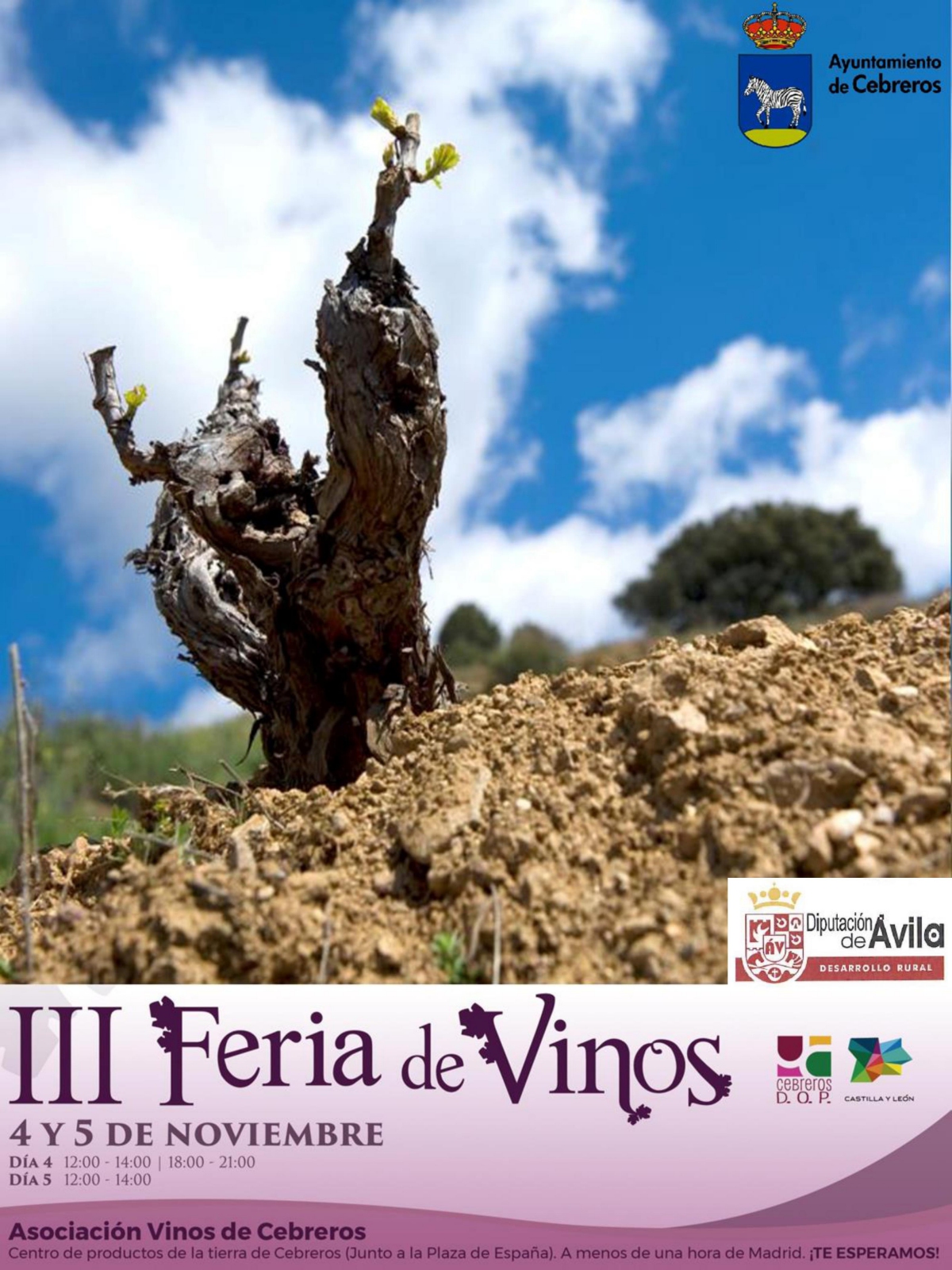 III FERIA DE VINOS