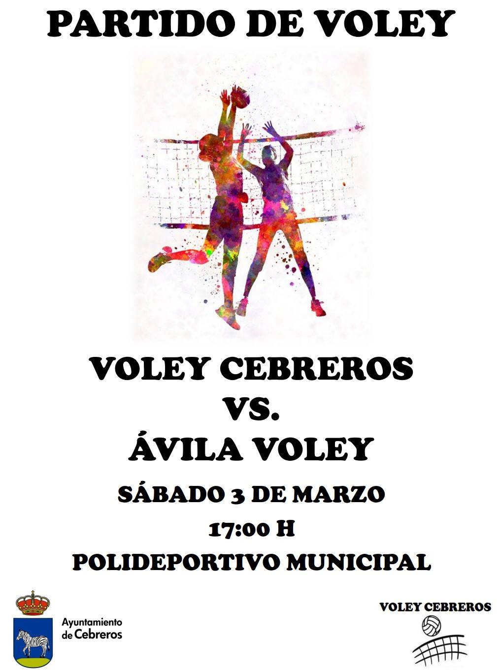 PARTIDO DE VOLEY