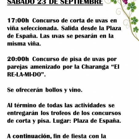 Diapositiva21