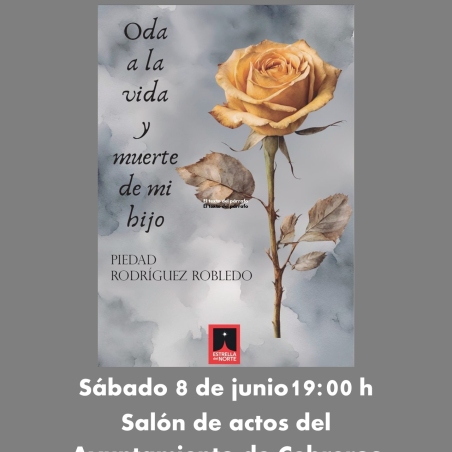 Presentacion libro piedad1
