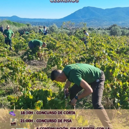 Programa vendimia 2025 1