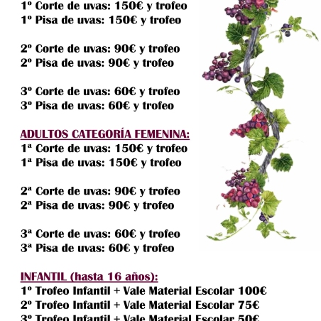 Programa vendimia 2025 3