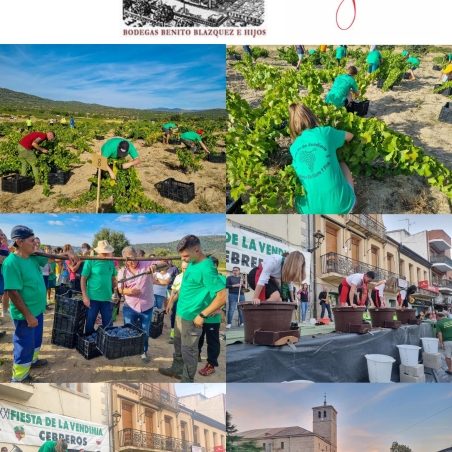 Programa vendimia 2025 4