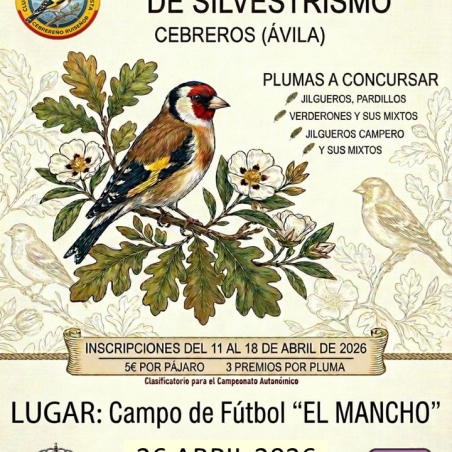 Concurso silvestrismo 20261