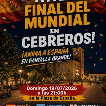 Final espana mundial1