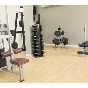 Gimnasio 3