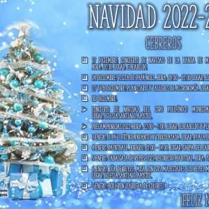 Programa navidad 22 231