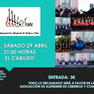 Agrupacion musical pulso y pua1
