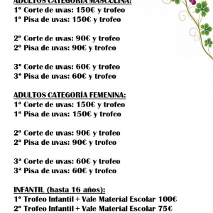 Diapositiva31