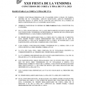 Bases fiesta de la vendimia 2023_page 0001
