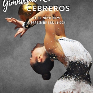 Exhibicion gimnasia ritmica 20241