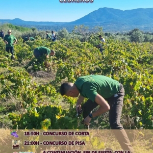 Programa vendimia 2025 11