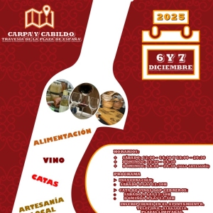 X feria del vino1