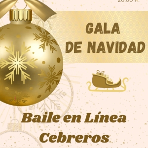 Baile en linea 20251