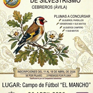 Concurso silvestrismo 20261