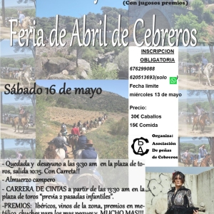 Caballos feria de abril 2026