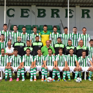 Plantilla cebre