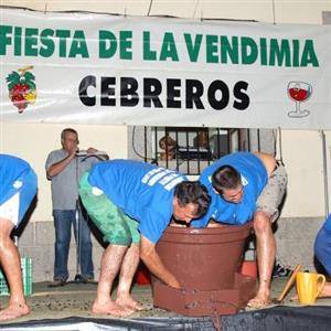 Pisa uvas 2