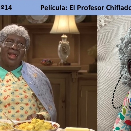 14. el profesor chiflado