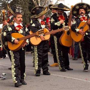 Carnaval de cebreros 25