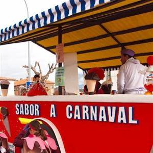 Carnaval de cebreros 31