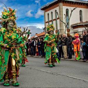 Carnaval de cebreros 11