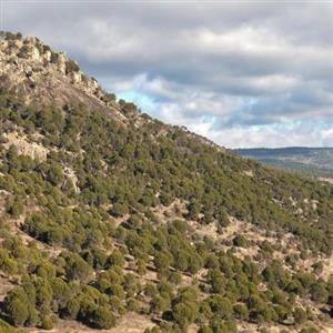 2_el castrejon_1