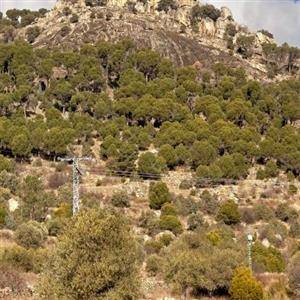 3_el castrejon_2
