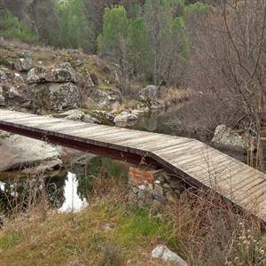 20_puente rio cofio