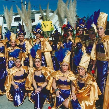 Recuerdos de carnaval de cebreros 77