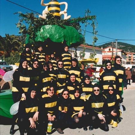 Recuerdos de carnaval de cebreros 91