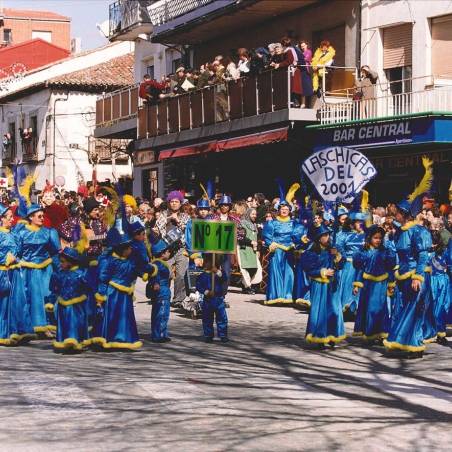 Recuerdos de carnaval de cebreros 242