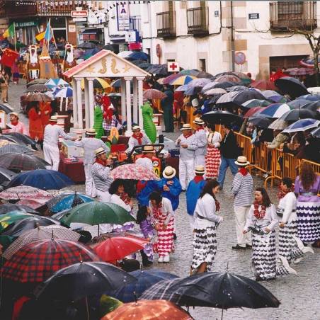 Recuerdos de carnaval de cebreros 252