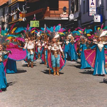 Recuerdos de carnaval de cebreros 202