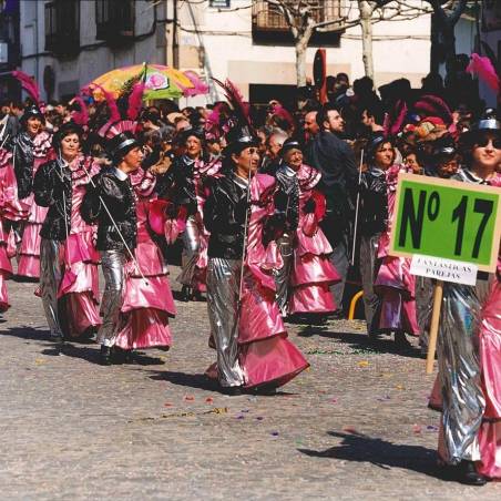 Recuerdos de carnaval de cebreros 592