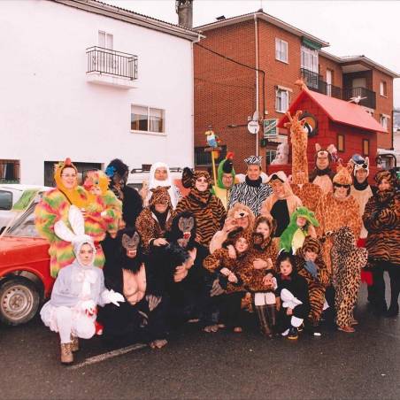 Recuerdos de carnaval de cebreros 682