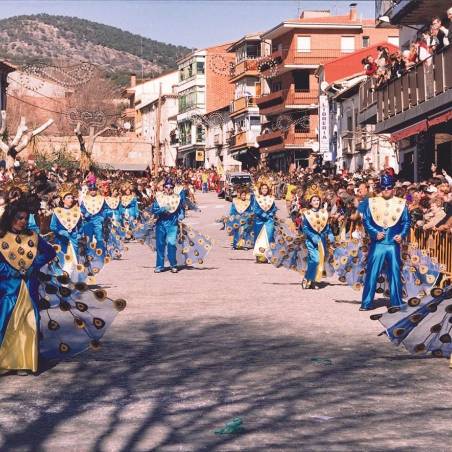 Recuerdos de carnaval de cebreros 782