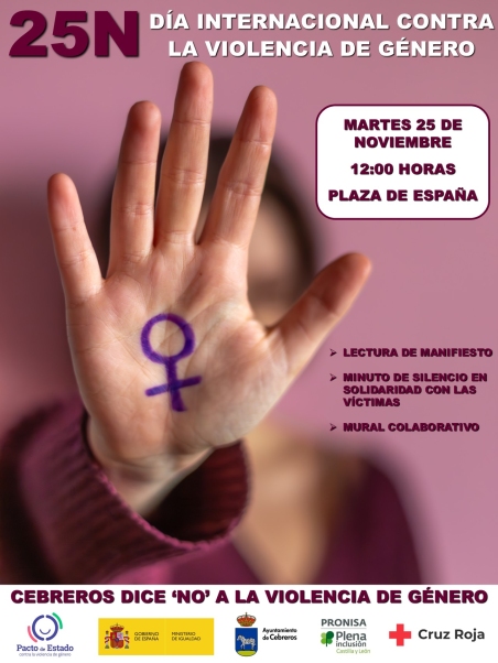 25N: DÍA INTERNACIONAL CONTRA LA VIOLENCIA DE GÉNERO