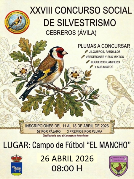 CONCURSO DE SILVESTRISMO 2026